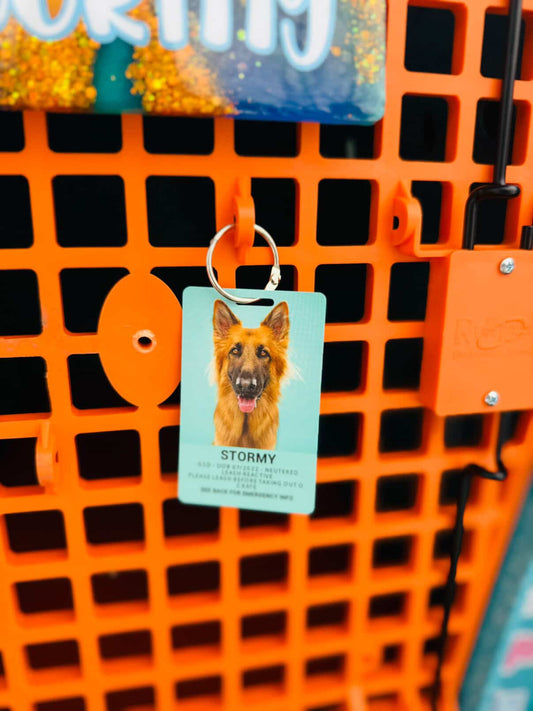 Emergency Crate Cards