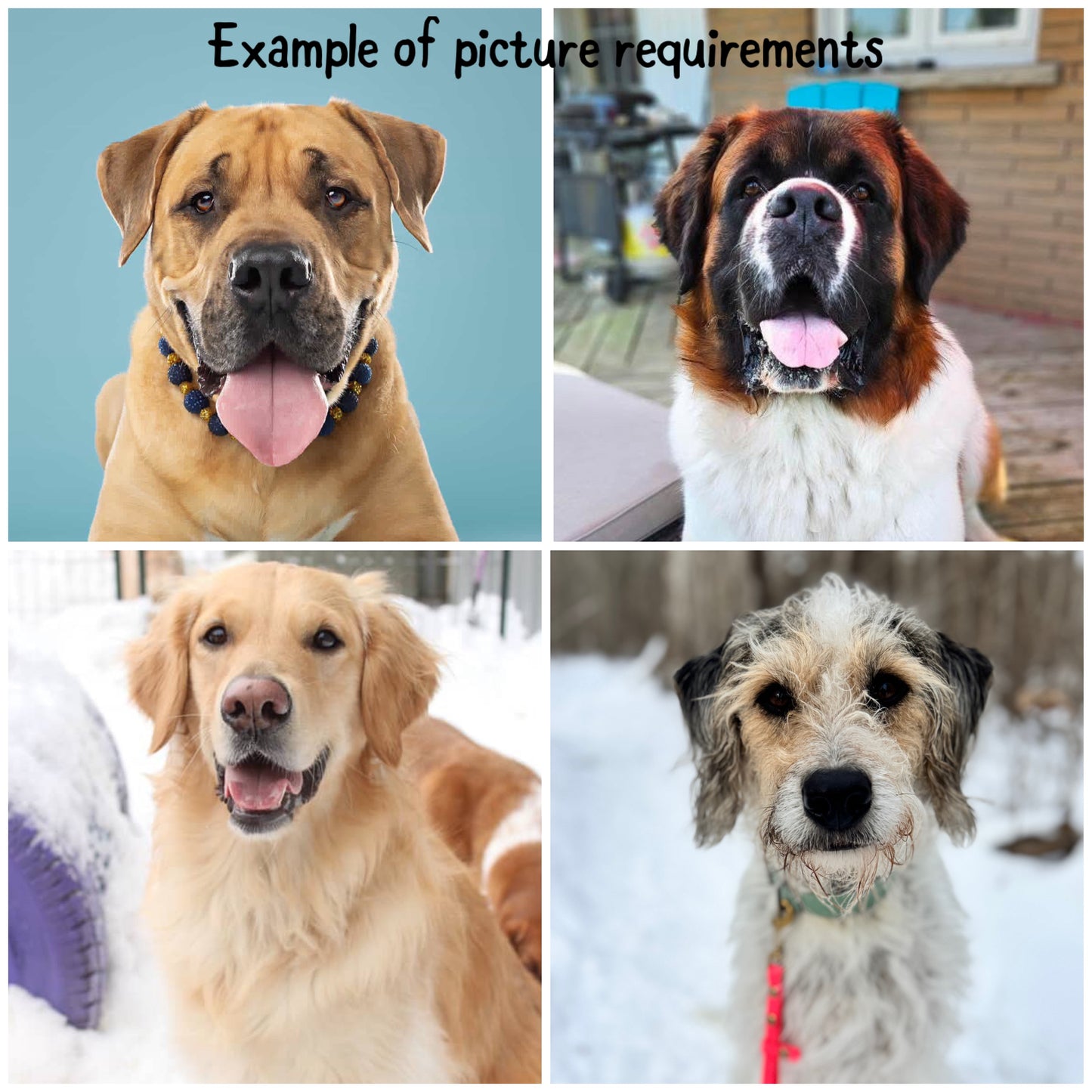 Single Sided Chain Set