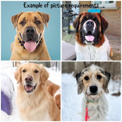 Single Sided Chain Set