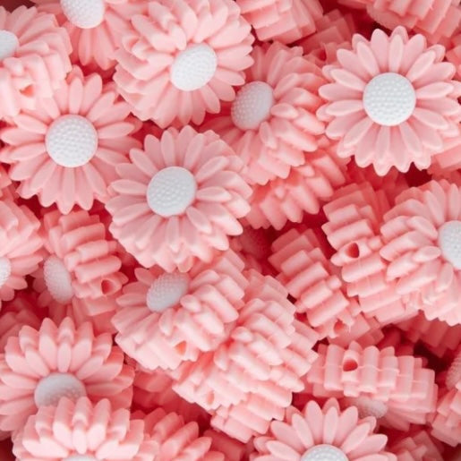 Soft Pink Daisy